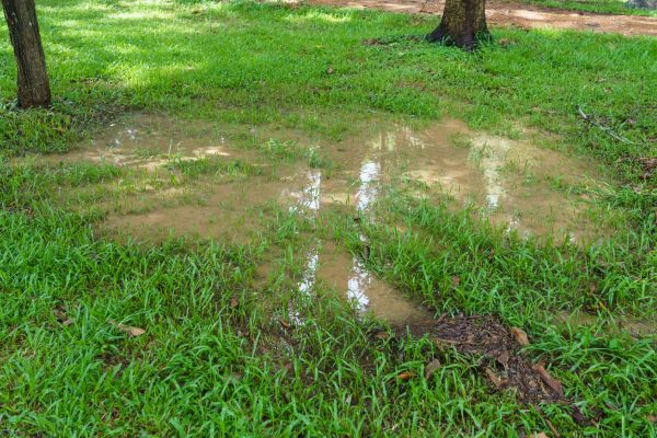 Storm Water Drainage Service in Everett