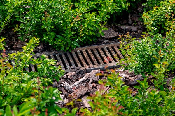 Cost of Underground Drainage Service in Everett