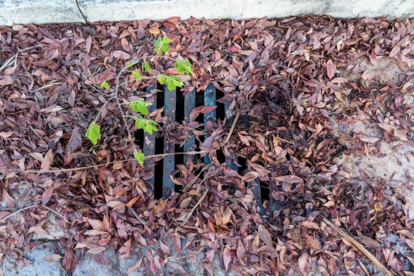 Yard Drain Unclogging in Everett