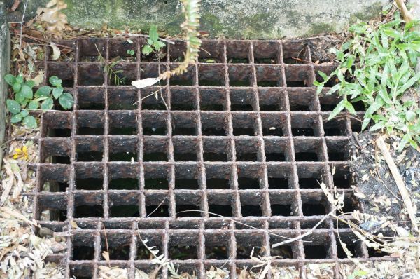 Cost of Yard Drain Cleaning in Everett