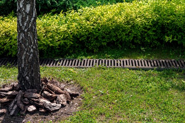 Cost of Wet Yard Drainage in Everett
