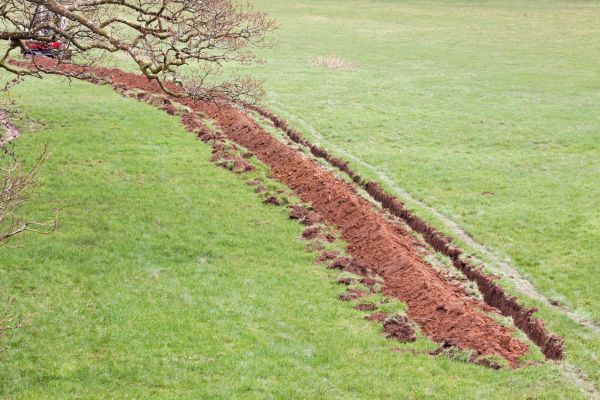 Cost of Swale Installation in Everett