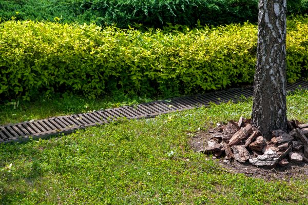 Residential Landscape Drainage in Everett