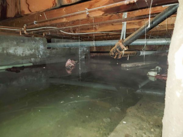 Cost of Crawlspace Drainage in Everett