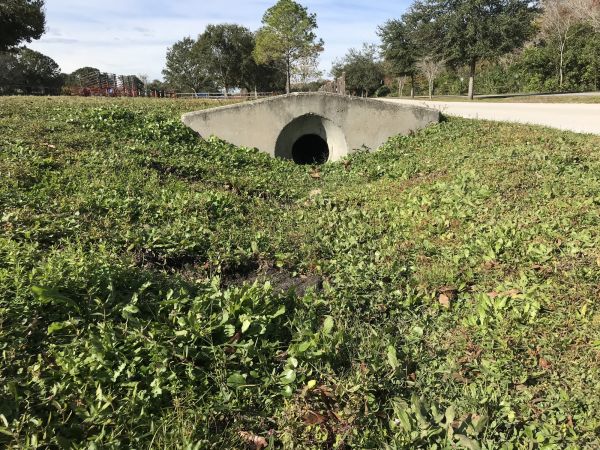 Cost of Swale Drainage Service in Everett